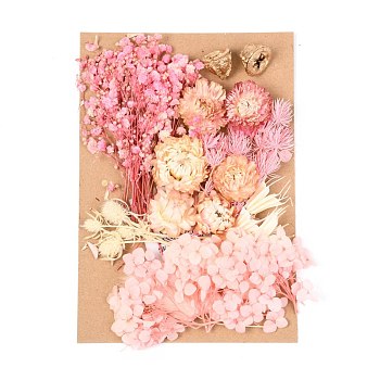 Dried Flower, for Bridal Shower, Wedding, Preserved Fresh Flower, Pink, 210x148x14~24.5mm