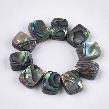 Abalone Shell/Paua Shell Beads, Rectangle, Colorful, 10x8x3.5~4mm, Hole: 1mm
