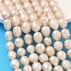 Natural Cultured Freshwater Pearl Beads Strands, Rice, Grade 2A, Old Lace, 10~11mm, Hole: 0.7mm, about 30pcs/strand, 13.66''(34.7cm)~13.86''(35.2cm)(PEAR-D003-01D-13)