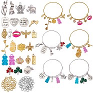 DIY Word Charm Bangle Making Kits, Including Adjustable Iron Expandable Bangle Makings, Plant & Animal & Fruit & Angel & Heart & Abstract Face & Word Alloy and Brass and Acrylic Charms Pendants, Mixed Color, 117pcs/box(DIY-SZ0008-09)