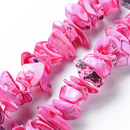 Natural Trochid Shell/Trochus Shell Bead Strands, Dyed, Nuggets, Hot Pink, 8~16x7~13x2~15mm, Hole: 1.2mm, about 39~46pcs/strand, 6.89 inch~7.28 inch(17.5~18.5cm)(SSHEL-N034-105-A01)