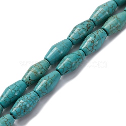 Natural Howlite Beads Strands, Bicone, Dyed, 12x6~7mm, Hole: 1mm, about 33pcs/strand, 15.94 inch(40.5cm)(G-F783-H02-01)