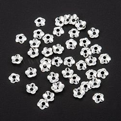 5-Petal Brass Bead Cap, Long-Lasting Plated, Rack Plating, Flower, Silver, 4x1mm, Hole: 1.2mm(KK-D063-13S)