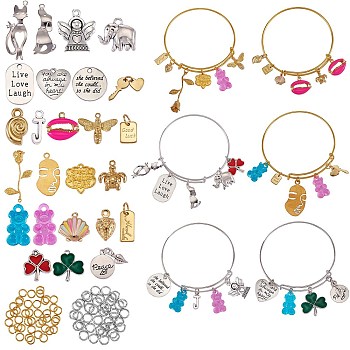 DIY Word Charm Bangle Making Kits, Including Adjustable Iron Expandable Bangle Makings, Plant & Animal & Fruit & Angel & Heart & Abstract Face & Word Alloy and Brass and Acrylic Charms Pendants, Mixed Color, 117pcs/box