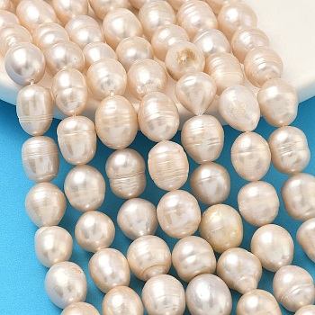 Natural Cultured Freshwater Pearl Beads Strands, Rice, Grade 2A, Old Lace, 10~11mm, Hole: 0.7mm, about 30pcs/strand, 13.66''(34.7cm)~13.86''(35.2cm)