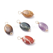 Natural Mixed Stone Pendants, with Real 18K Gold Plated Eco-Friendly Copper Wire, Oval, 20x9~10x5mm, Hole: 2.6mm(PALLOY-JF01116)