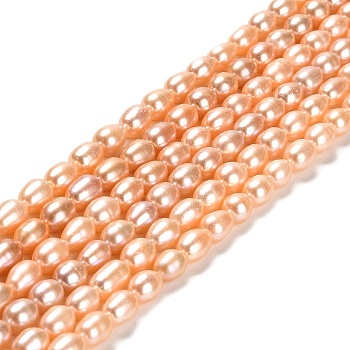 Natural Cultured Freshwater Pearl Beads Strands, Rice, Grade 5A, Sandy Brown, 7~10x6~7mm, Hole: 0.6mm, about 44~48pcs/strand, 14.17~14.37 inch(36~36.5cm)
