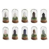 Gemstone Bullet Display Decoration with Glass Dome Cloche Cover, Cork Base Bell Jar Ornaments for Home Decoration, 30x59.5~62mm(DJEW-B009-02)