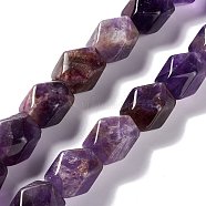 Natural Amethyst Beads Strands, Faceted, Rhombus, 13~19x9~17x9~17mm, Hole: 1mm, about 22pcs/strand, 15.83''~16.14''(40.2~41cm)(G-L235A-18)