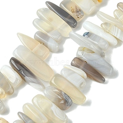 Natural Grey Agate Beads Strands, Chip, Top Drilled, 20~35x6~11x6~11.5mm, Hole: 1.8~2.7mm, 15.35~15.55 inch(39~39.5cm)(G-G117-C06-01)