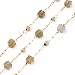 Natural Labradorite Square Beaded Chains, with Golden 304 Stainless Steel Findings, Unwelded, 2~3x2~2.5x2~2.5mm, about 3.28 Feet(1m)/Box(AJEW-SZ0002-43E)