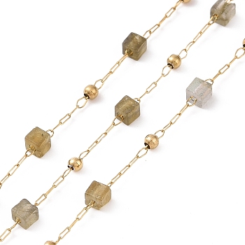 Natural Labradorite Square Beaded Chains, with Golden 304 Stainless Steel Findings, Unwelded, 2~3x2~2.5x2~2.5mm, about 3.28 Feet(1m)/Box