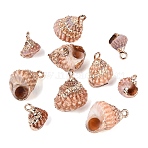 Electroplate Natural Spiral Shell Pendants, Conch Shell Charms with Golden Tone Iron Loops & Brass Edge Findings, Sandy Brown, 11~18.5x7~12.5x7~13mm, Hole: 1.2~1.8mm(SSHEL-Q100-37G)