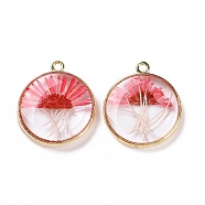 Transparent Clear Epoxy Resin Pendants, with Edge Golden Plated Brass Loops, Flat Round Charms with Inner Flower, Deep Pink, 22x19x3.8mm, Hole: 1.4mm(RESI-L036-08G-01)