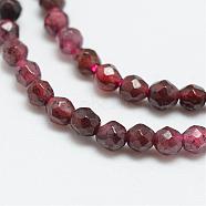 Natural Garnet Bead Strands, Faceted, Round, 2mm, Hole: 0.5mm, about 180pcs/strand, 15.4 inch(G-R344-2mm-26)