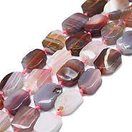 Natural Botswana Agate Beads Strands, Rectangle, 15~17x10~13x5~7mm, Hole: 1mm, about 22pcs/strand, 15.94''(40.5cm)(G-K245-J10-B01)