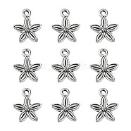 Tibetan Style Alloy Pendants, Lead Free, Cadmium Free and Nickel Free, Antique Silver, 13.5mm long, 10.5mm wide, 3mm thick hole: 1.5mm(X-LF0352Y-NF)