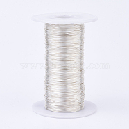 Eco-Friendly Round Copper Wire, Copper Beading Wire for Jewelry Making, Long-Lasting Plated, Silver, 22 Gauge, 0.6mm, about 721.78 Feet(220m)/500g(CWIR-K001-01-0.6mm-S)