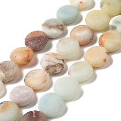 Frosted Natural Flower Amazonite Beads Strands, Flat Round, 10x4.5mm, Hole: 1.2mm, about 36pcs/strand, 14.37''(36.5cm)(G-P489-04)