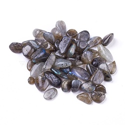 Natural Labradorite Beads, Undrilled/No Hole, Chips, 8~21x7~10x4~6mm 4~6mm, about 100g/bag(G-I221-24)