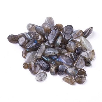 Natural Labradorite Beads, Undrilled/No Hole, Chips, 8~21x7~10x4~6mm 4~6mm, about 100g/bag