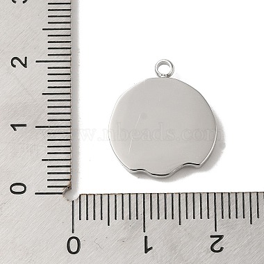 304 Stainless Steel Pendants(STAS-B074-08P-04)-3