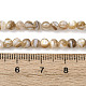 Natural Freshwater Shell Beads Strands(SHEL-K006-71C)-4