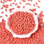 Opaque Colours Glass Seed Beads, Oval, Coral, 9x4mm, Hole: 1.2mm, about 1875pcs/pound(SEED-T007-16C)