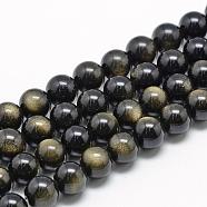 Natural Golden Sheen Obsidian Beads Strands, Grade A, Round, 8~9mm, Hole: 1mm, about 45~48pcs/strand, 15.7 inch(G-R446-8mm-23)