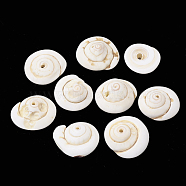 Natural Shiva Eye Shell Beads, 15~20x14~18x5~10mm, Hole: 1mm(SSHEL-Q302-01)