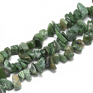 Natural South Africa Jasper Beads Strands, Chip, 8~30x7~17x2~12mm, Hole: 1mm, about 110~150pcs/strand, 31.4 inch(G-S317-13)