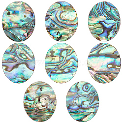 Natural Paua Shell Cabochons, Single-Sided Shell Cabochons, Oval/Teardrop Shape, Oval, 26x21x1mm, 8pcs/box(SHEL-BC0001-029A)