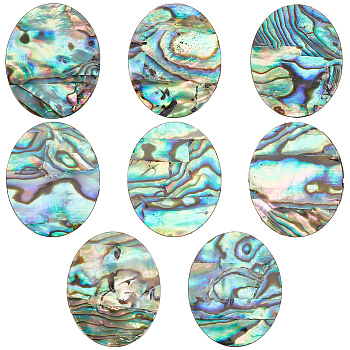 Natural Paua Shell Cabochons, Single-Sided Shell Cabochons, Oval/Teardrop Shape, Oval, 26x21x1mm, 8pcs/box