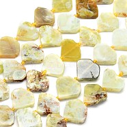 Natural Yellow Opal Beads Strands, Diamond Shaped, 15.5~16.5x17~17.5x5~5.8mm, Hole: 1mm, about 22~24pcs/strand, 15.75~15.94 inch(40~40.5cm)(G-G106-E02-01)