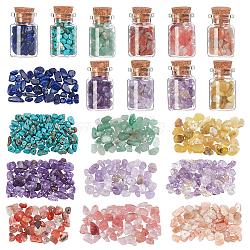 86~115G 10 Style DIY Wishing Bottle Making Kits, with  Gemstone Chip Beads and  Glass Wishing Bottle Bead Containers, 5~8mm, Hole: 1mm, 8.6~11.5g/style(DIY-PH0002-69)