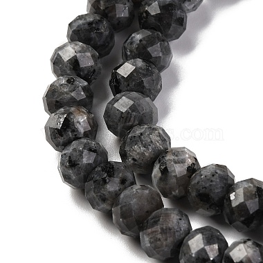 Natural Larvikite Beads Strands(G-K380-A46-01)-4