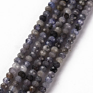 Natural Tanzanite Beads Strands, Rondelle, Faceted, 3x2mm, Hole: 0.5mm, about 188~190pcs/strand, 15.35inch(39cm)(G-S362-101)