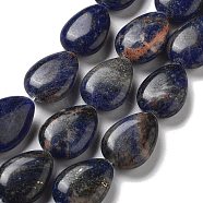 Natural Sodalite Beads Strands, Flat Teardrop, 17.5~18x13~13.5x6mm, Hole: 1.2~1.4mm, about 11pcs/strand, 7.56''(19.2cm)(G-P528-L02-01)