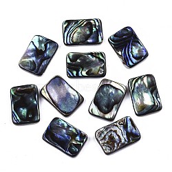 Natural Abalone Shell/Paua Shell Cabochons, with Freshwater Shell, Rectangle, Colorful, 15x10x3mm(SSHEL-N034-76B-01)