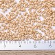 MIYUKI Delica Beads Small(SEED-X0054-DBS0389)-4