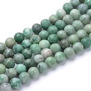 Natural Qinghai Jade Beads Strands, Round, 6~6.5mm, Hole: 1mm; about 63pcs/strand, 15.5 inches(G-T055-6mm-16)