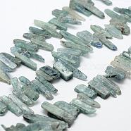 Natural Kyanite/Cyanite/Disthene Beads Strands, Polishing, Nuggets, 18~39x4~10x2~6mm, Hole: 1mm, 15.7 inch(40cm)(G-F462-04)