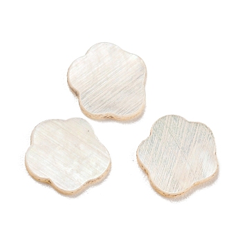 Natural Sea Shell Cabochons, Flower, White, 7.5x7x1mm