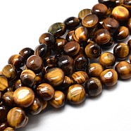 Natural Tiger Eye Nuggets Beads Strands, Tumbled Stone, 4~8x6~9x5~7mm, Hole: 1mm, about 15.3 inch~15.7 inch(X-G-J336-03)
