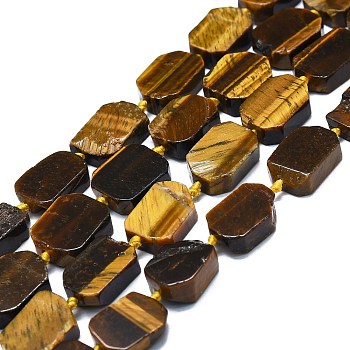 Natural Tiger Eye Beads Strands, Rectangle, 15~17x10~13x5~6mm, Hole: 1mm, about 22pcs/strand, 15.94''(40.5cm)