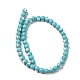 Synthetic Turquoise Enamel Beads Strands(G-P507-17A)-3
