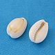 Natural Cowrie Shell Pendants(BSHE-Q297-3)-2