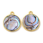 Natural Paua Shell Pendants, Flat Round Charms with Brass Findings, Golden, 20.5x17.5x2.5mm, Hole: 1.8mm(KK-E059-12G)