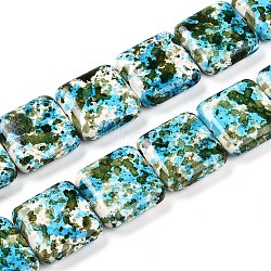 Synthetic Turquoise Beads Strands, Spray Painted, Square, Dark Turquoise, 20x20x6.5mm, Hole: 1mm, about 20pcs/strand, 15.63''(39.7cm)(TURQ-T004-09A-02)