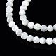 Chapelets de perles de coquille de trochid / trochus coquille(SSHEL-S266-023A-01)-3